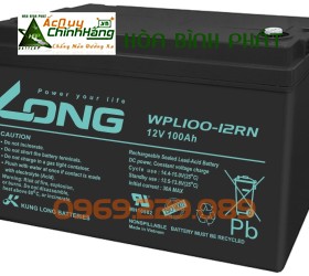 ẮC QUY LONG 12V-100Ah, WPL100-12RN